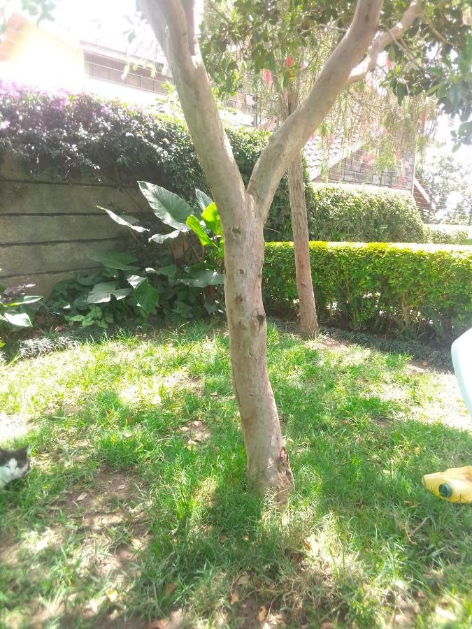 Bernkish Homes Nakuru Extérieur photo