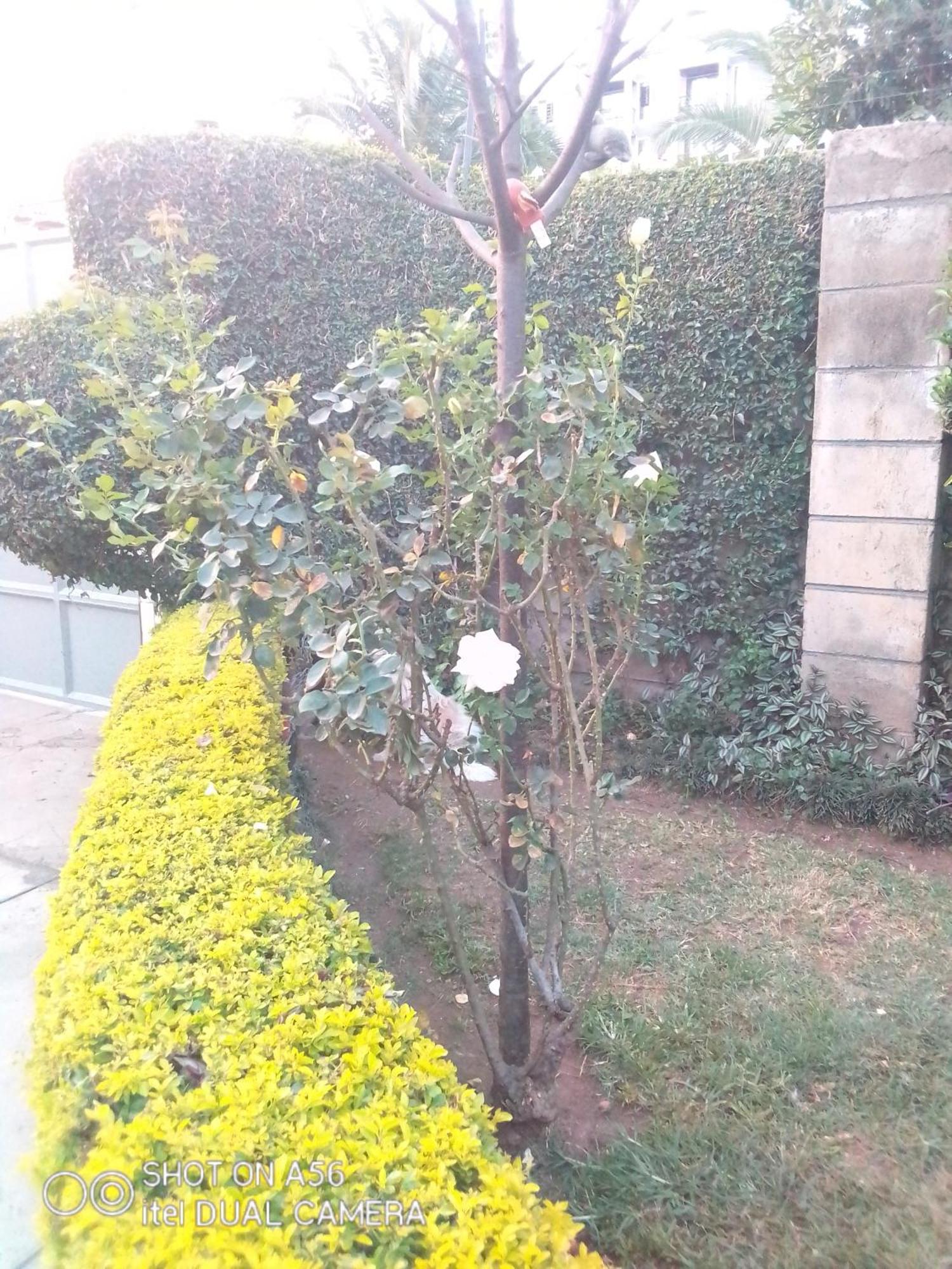 Bernkish Homes Nakuru Extérieur photo
