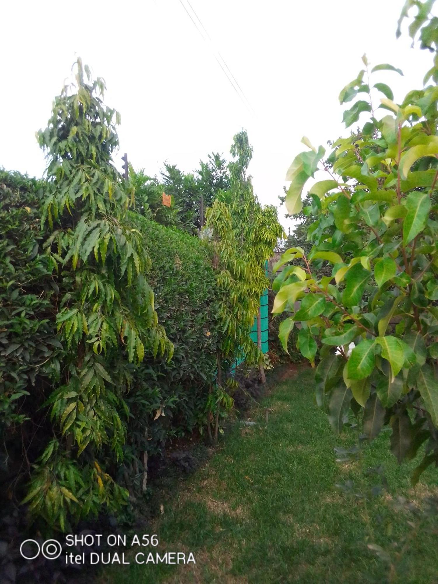 Bernkish Homes Nakuru Chambre photo