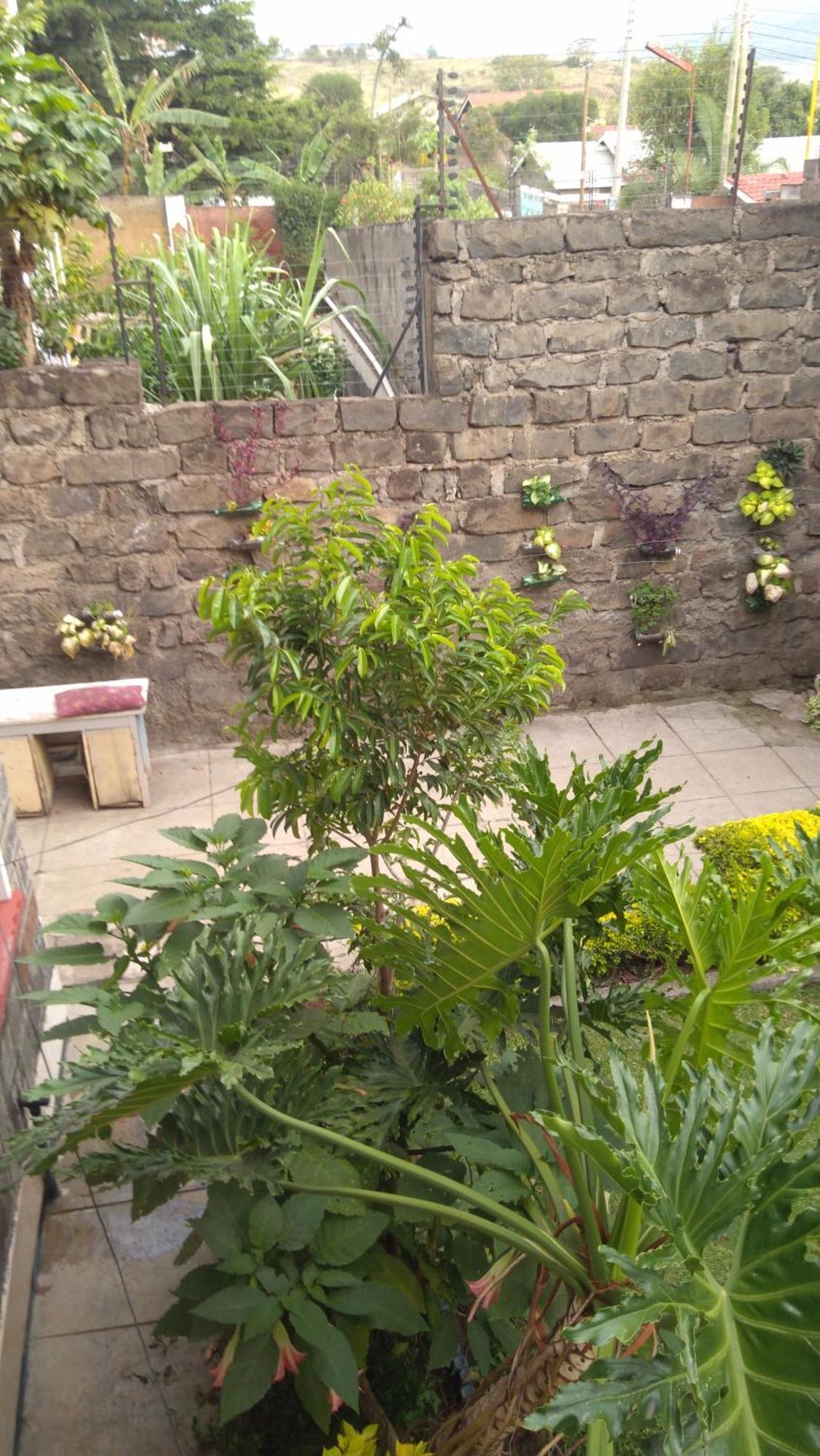 Bernkish Homes Nakuru Chambre photo